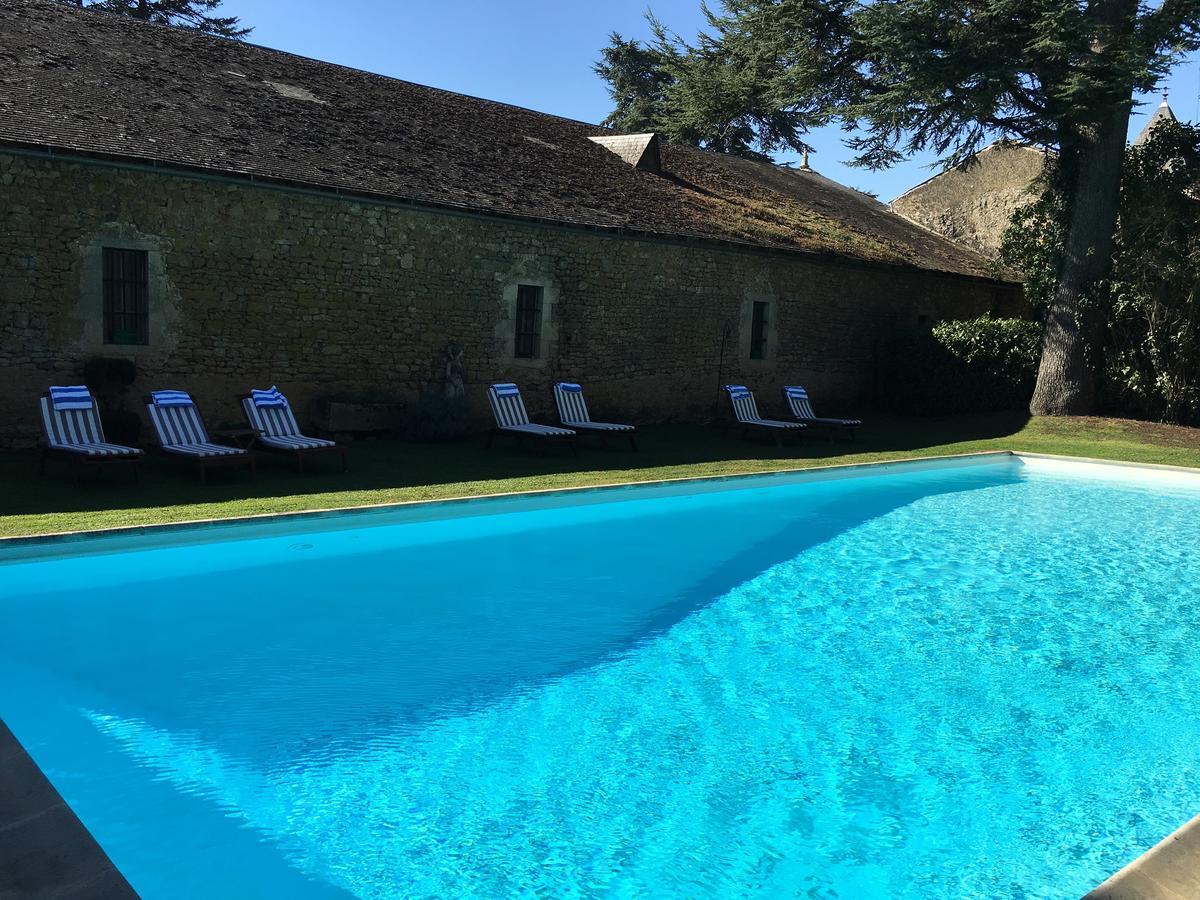 Chateau De Curzay Curzay-sur-Vonne Exterior foto